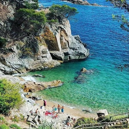 La Calma De Tossa Lägenhet Girona Exteriör bild