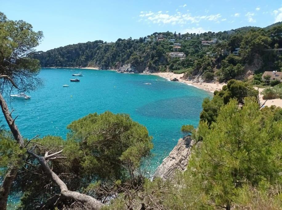 La Calma De Tossa Lägenhet Girona Exteriör bild