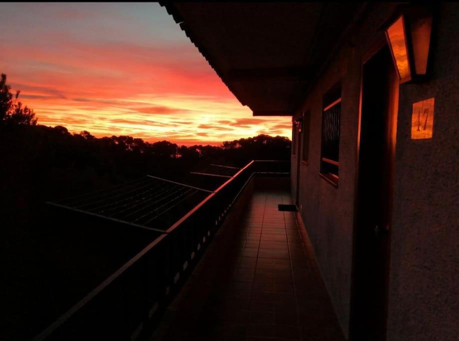 La Calma De Tossa Lägenhet Girona Exteriör bild
