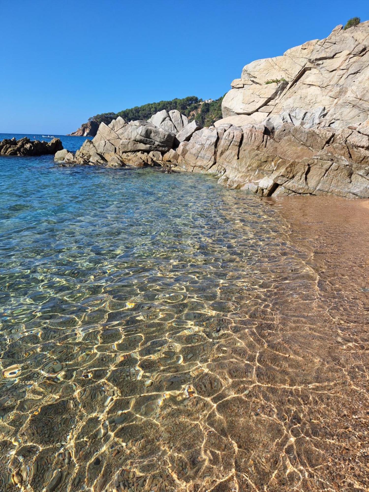 La Calma De Tossa Lägenhet Girona Exteriör bild