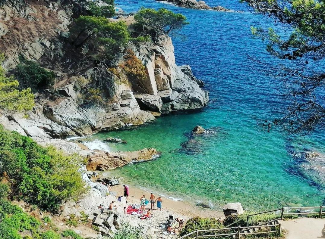 La Calma De Tossa Lägenhet Girona Exteriör bild